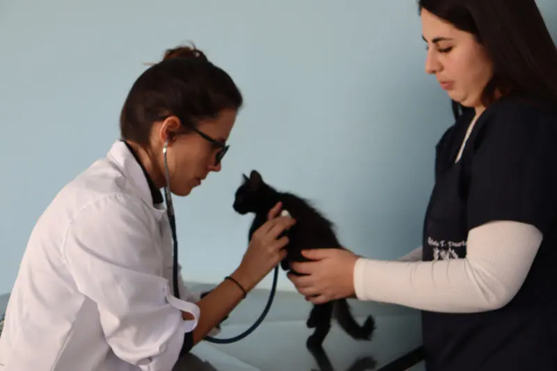 Hospital Veterinário