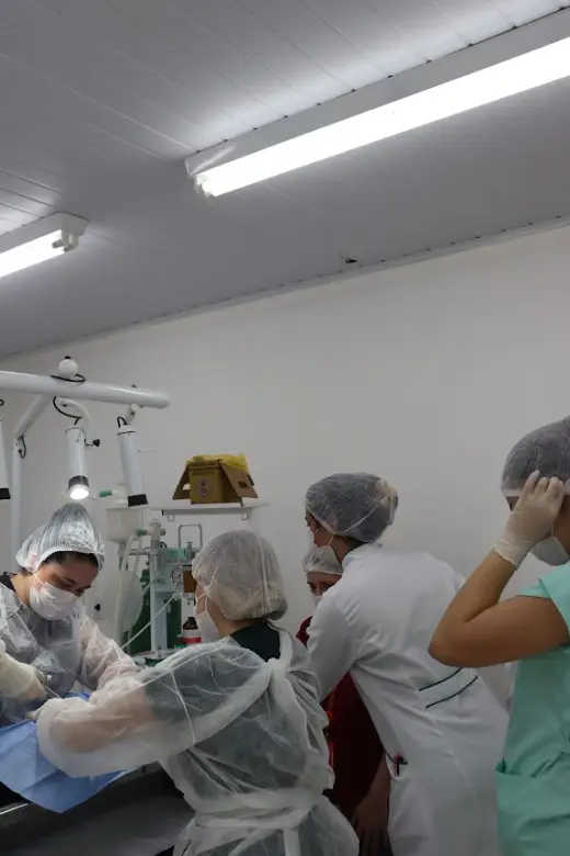 Clínica Veterinária