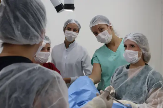 Clínica Veterinária