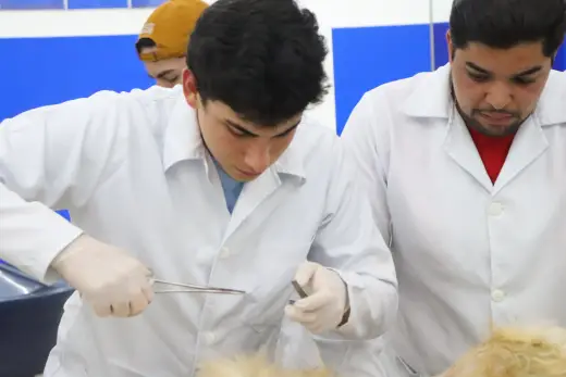 Laboratórios