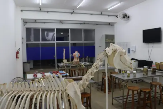 Laboratórios
