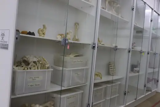 Laboratórios