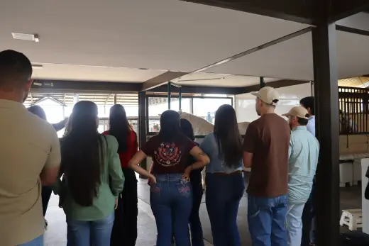 Aulas práticas