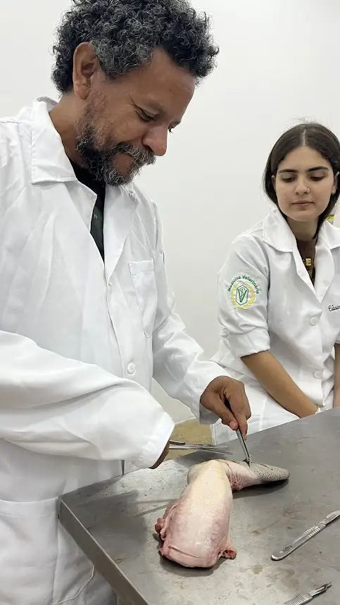 Aulas práticas